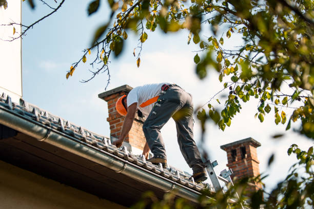 Best Emergency Roof Repair  in Lake Holm, WA