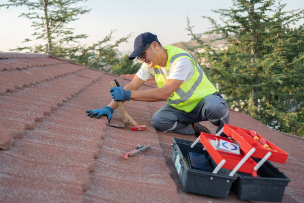 Best Metal Roofing Contractor  in Lake Holm, WA